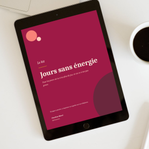 Guide gratuit "Les jours sans énergie"